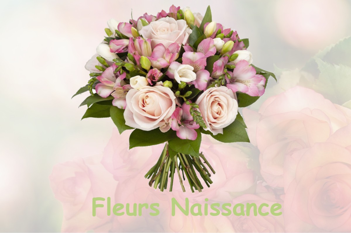 fleurs naissance BOURG-DES-MAISONS